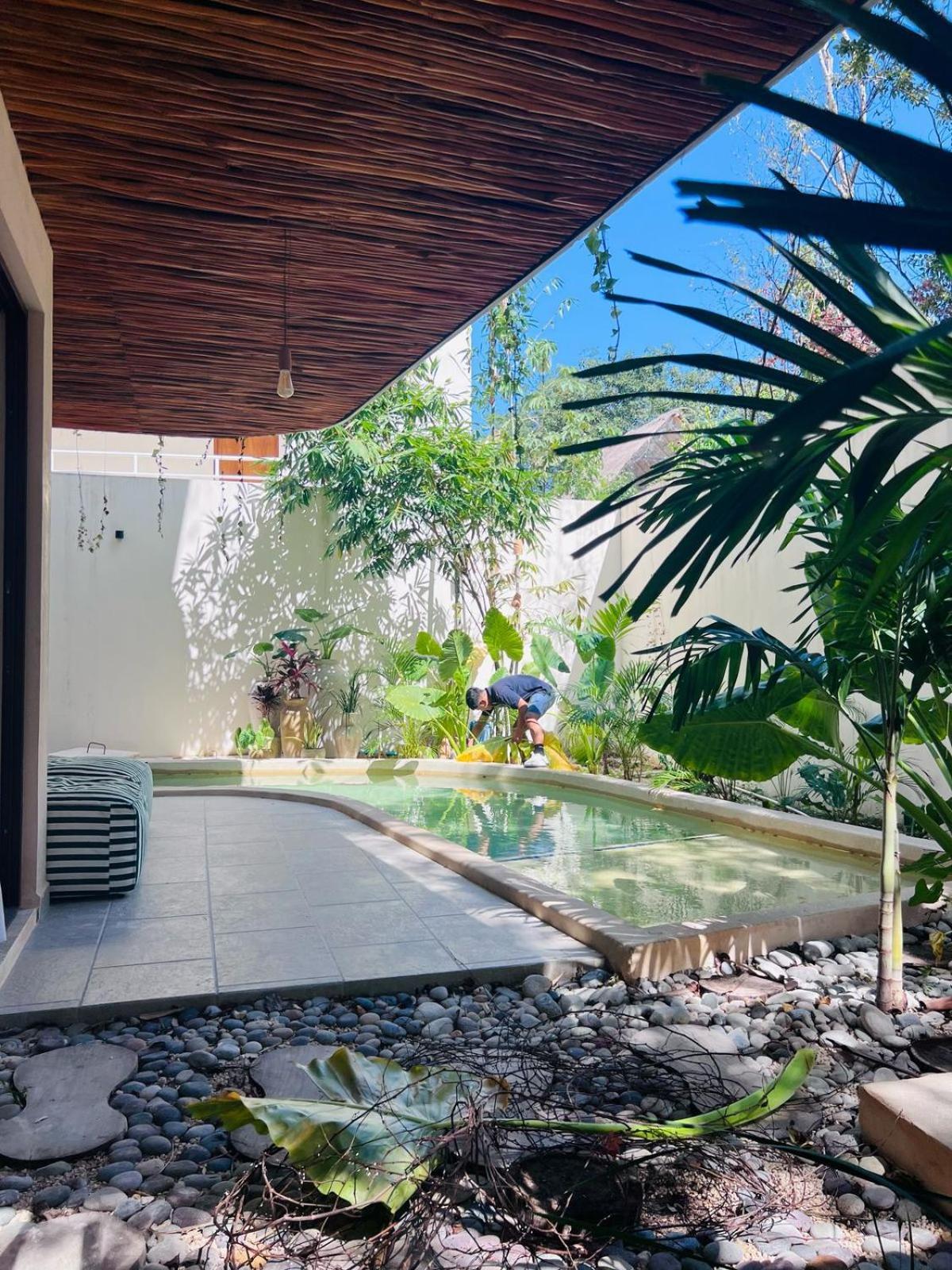 Charming Boutique Jungle Views Private Pool Apartamento