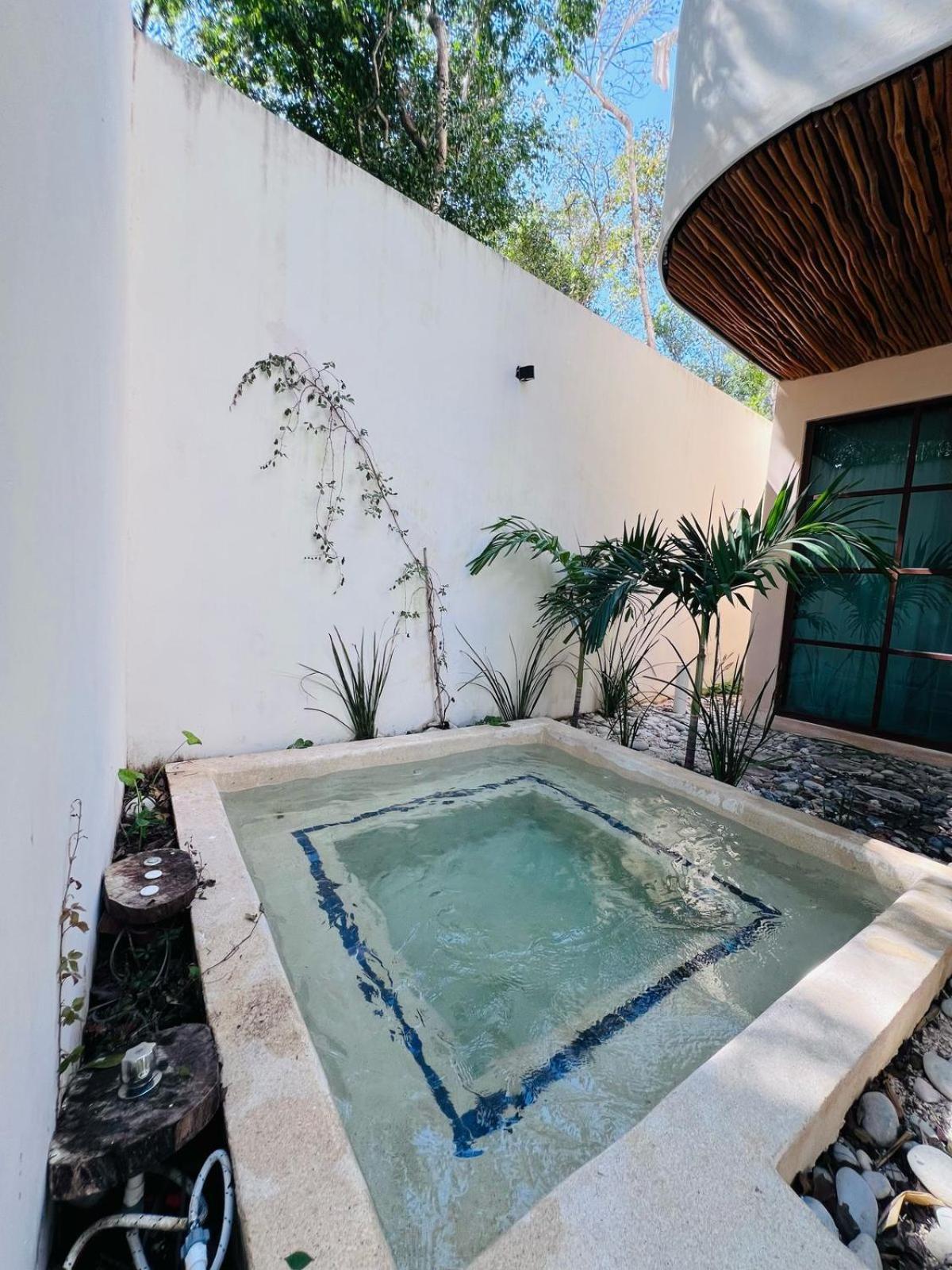 Charming Boutique Jungle Views Private Pool
