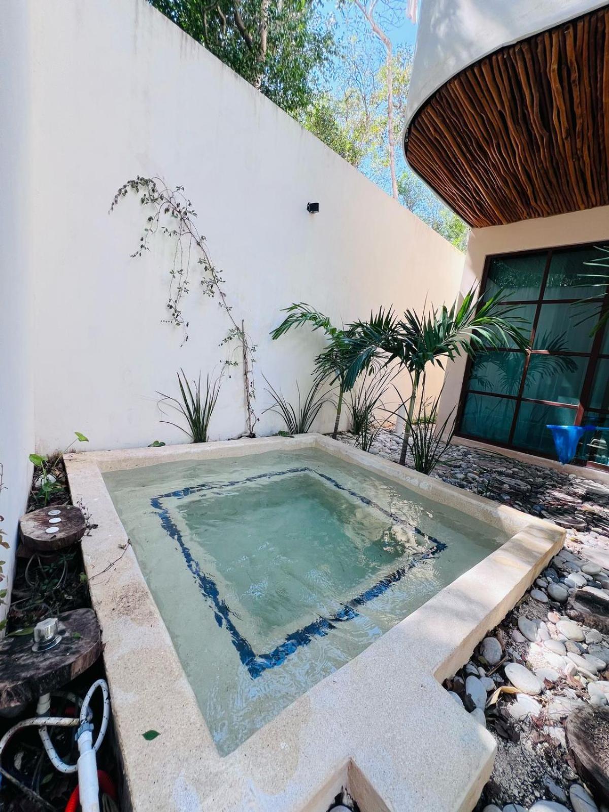 Apartment Charming Boutique Jungle Views Private Pool Tulum